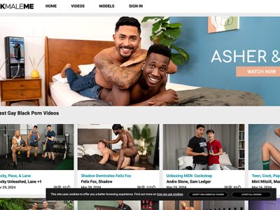 Best interracial porn site with premium gay videos